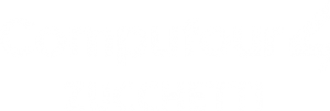 COMPUFOUR