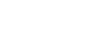 POPZ CONTENT
